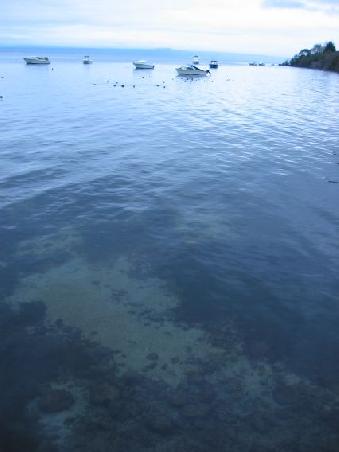 Der Lake Taupo am Abend
Le Lac Taupo le soir