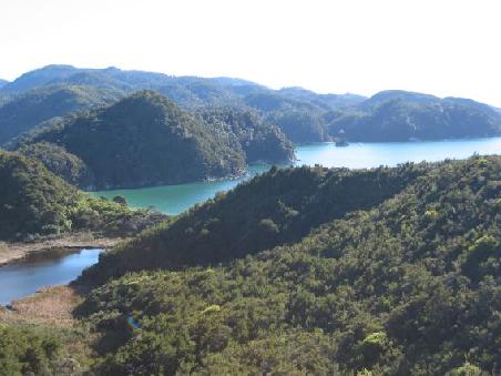 Blick vom Coastal Track auf die Torren Bay