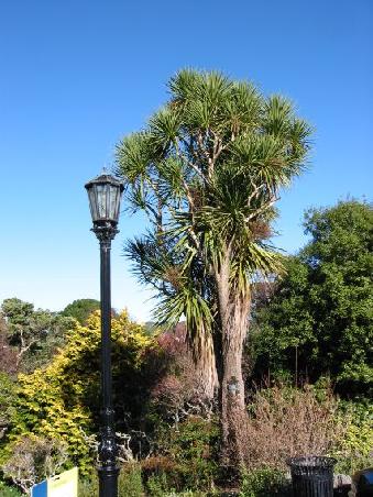 Die botanischen Gaerten
Les jardins botaniques