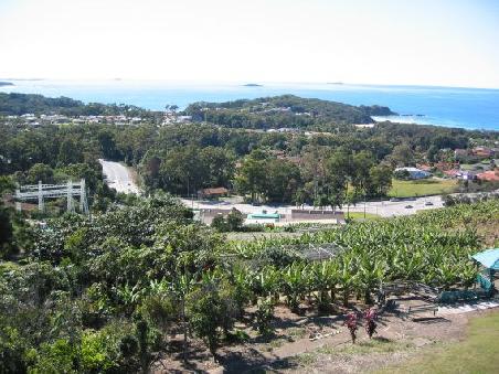 Die "Big Banana" Plantage bei Coffs Harbour
La plantation de bananes de Big Banana a Coffs Harbour