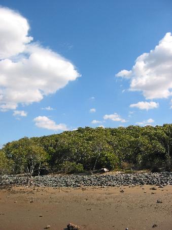 Tolle Wolkenformationen am Strand in der Naehe von Brisbane
Joli ciel et nuages pres de Brisbane