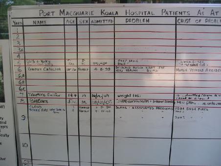 Die Patientenliste im Koala Hospital
La liste des patients a l'hopital des Koalas
