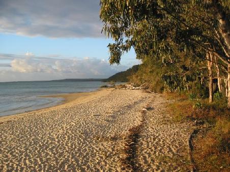 Der Strand bei Kingfisher Bay am Abend
La plage a Kingfisher Bay en fin d'apres-midi