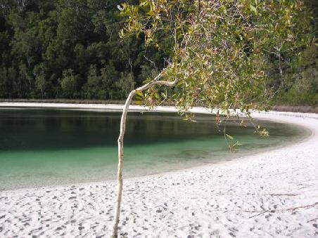 Am Lake Bassin im Inneren von Fraser Island laesst es sich aushalten
Le lac Bassin a l'interieur de Fraser island.