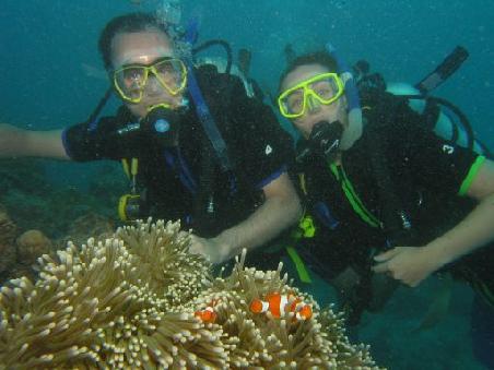 Wir tauchen im Hastings Riff und bestaunen ein paar Anemonen und Clown Fischis.
Plongee au Hasting Riff devant quelques anemones