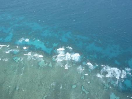 Noch ein Blick auf das Outer Reef
Une autre vue du riff du cote donnant sur l'ocean pacifique