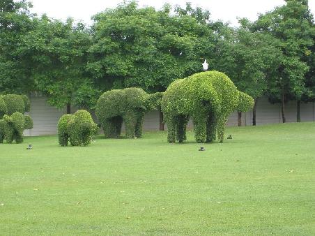 Im Sommerpalast der Königsfamilie gibts allerlei Hecken in Tierform
Dans les jardins du Palais d'Ete