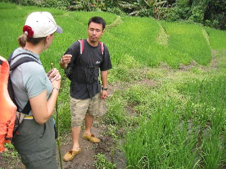 Tong erklärt den Reisanbau bei Karen Village
Explication sur la production du riz par Tong