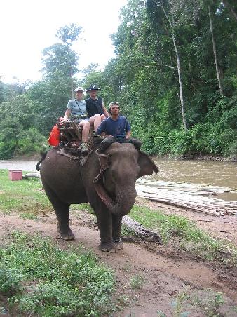 Schaukelig-schön gehts auf dem Rücken eines Elephanten über Land und durch den Mae Song
Trek en elephant