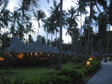 Abenddämmerung im Phi phi Island village
Phi Phi Island village, notre hotel sur l'ile