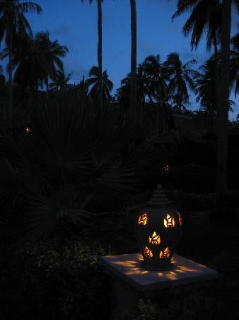 Einach nur schön hier, auch am Abend und in der Nacht
Ambiance feutre pour le soir