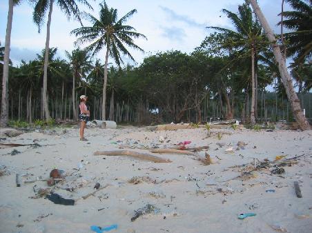 Durch die Tsunami-Katastrophe zerstörter Strand auf Phi Phi Don
Plage devastee apres le Tsunami...