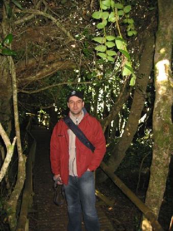 In the jungle of Fay Jorge