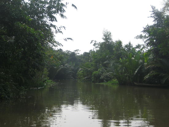 Mekong Delta, ein schmaler Flußarm