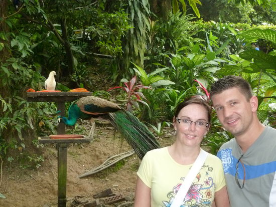 2 ganz lustige Vögel rechts : ))