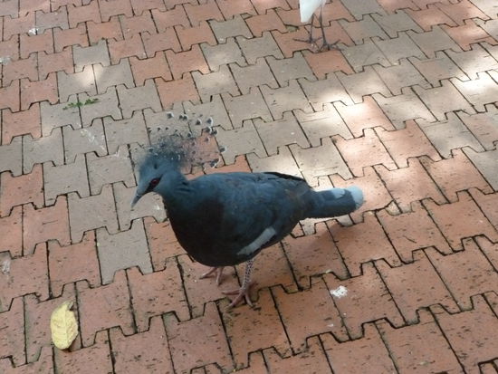 Keine Ahnung was das ist aber sah cool aus.