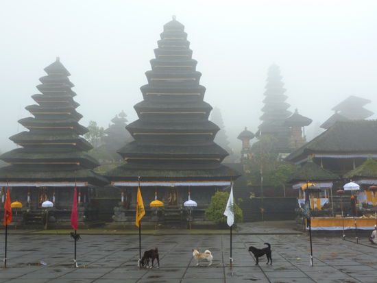 leider sehr neblig und regnerisch an dem Tag