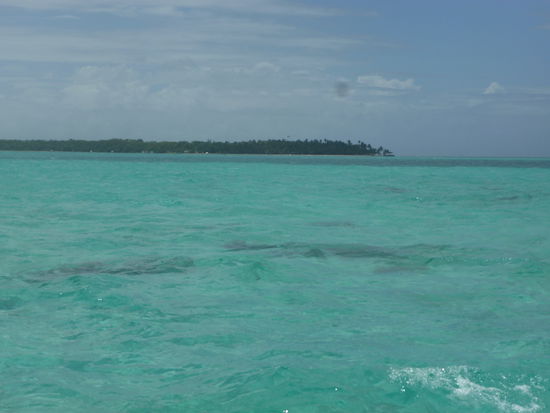 Das ist eine Sandbank im Meer bei Tobago "Nylon Pool" genannt.