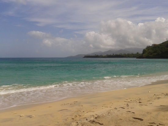Pink Gin Beach Grenada