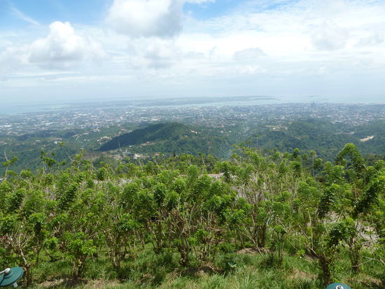 und hier die Aussicht auf Cebu City