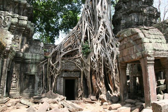 Ta Prohm, die mustische Ruine
