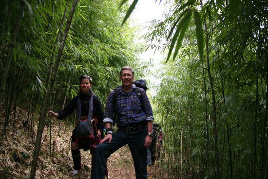 Unterwegs im dichten Wald