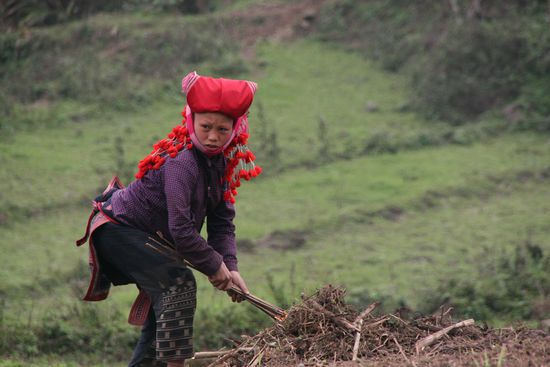 Eine Frau in traditioneller Kleidung bei der Feldarbeit