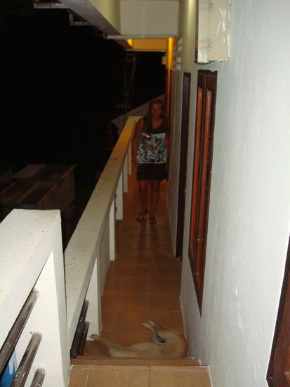 Eva hat Angst vor Hunden, was Probleme macht, wenn sie den Weg zu unserem Zimmer versperren 