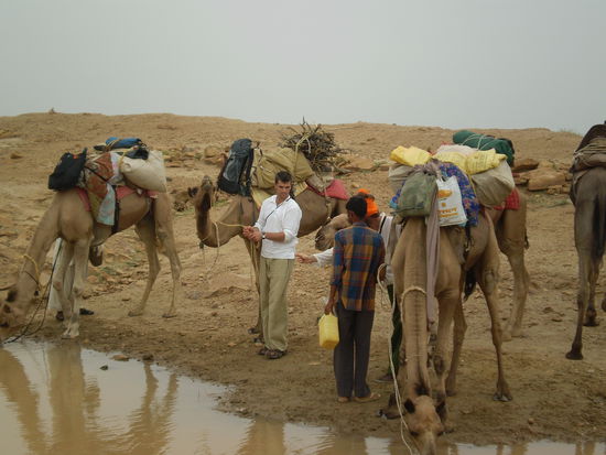 ein richtiger kameltreiber