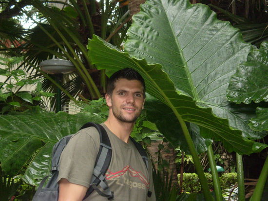 armins natuerlicher regenschirm