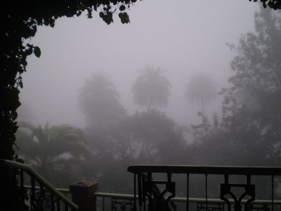 fruehstuecksausblick