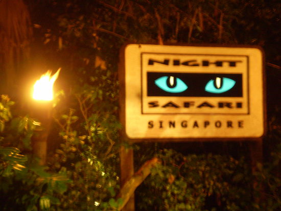 rueckblick nachtsafari
falscher tag, sorry!