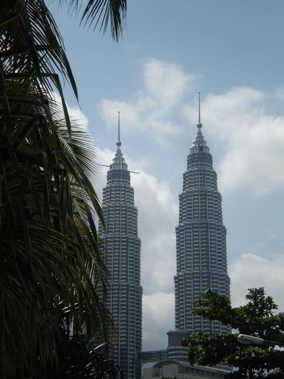 sind sie nicht schoen???