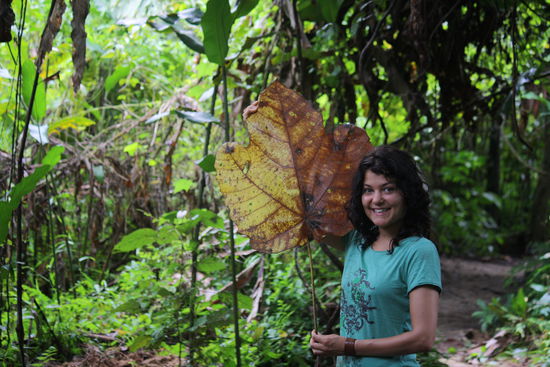 andi und ein elefantenohr