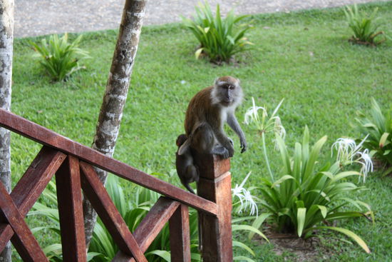 haette andi fast aufs t-shirt gek.....