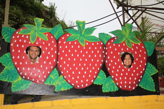 extra fuer unsere sina....sie mag doch so gerne erdbeeren 