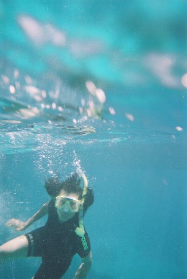 seht ihr die panik in ihren augen ? 