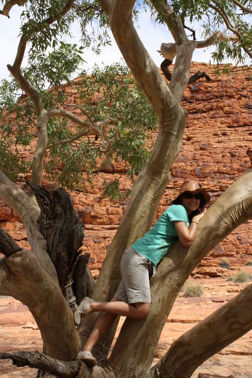 nein kein koala...andi macht pause im kings canyon