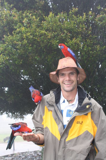 ich glaub ich habe nen vogel...