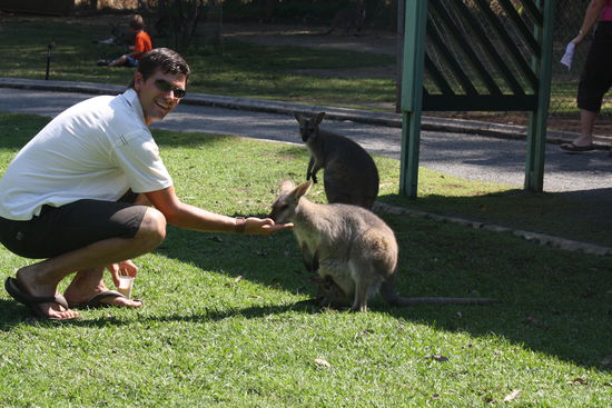sie erlagen armins charme und frassen ihm aus der hand