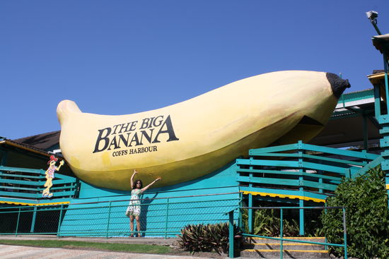 mit ner kugel eis und bissl schokosauce waers ein prima bananensplit...