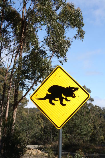 vorsicht - gefaehrliche beisserchen