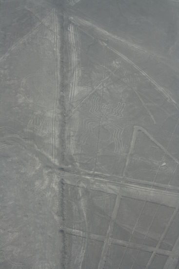 die Spinne, auch schlecht erkennbar