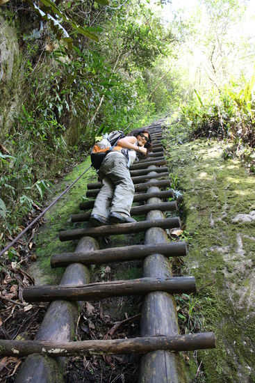 hoffentlich ist das die erfolgsleiter...