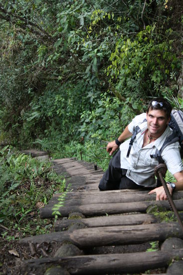 Armin will auch ein stueck vom (erfolgs)kuchen