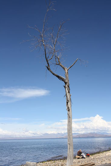 ...reise.
wirklich beeindruckend, die mischung aus karibikfeeling und 6000er