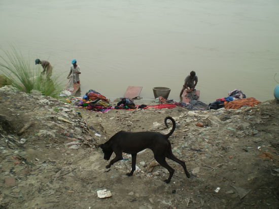 ob die wohl ariel benutzen? wir verlassen uns lieber auf Rei in der Tube!