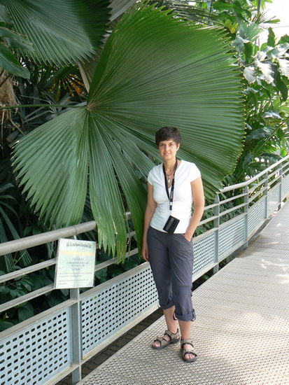 Sirikit Garden.