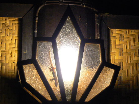 Der Kammerjäger in der Zimmer Lampe...