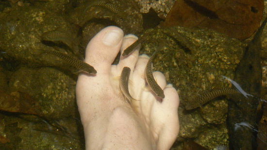 Wasserfall mit Fuß Peeling...